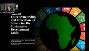 African Entrepreneurship and Education for Advancing the SDGs