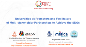 Universities as Promoters and Facilitators of Multi-stakeholder Partnerships to Achieve the SDGs
