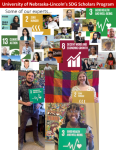 Advancing careers & the SDGs: how a co-curricular program prepares students to make a difference in their professional paths