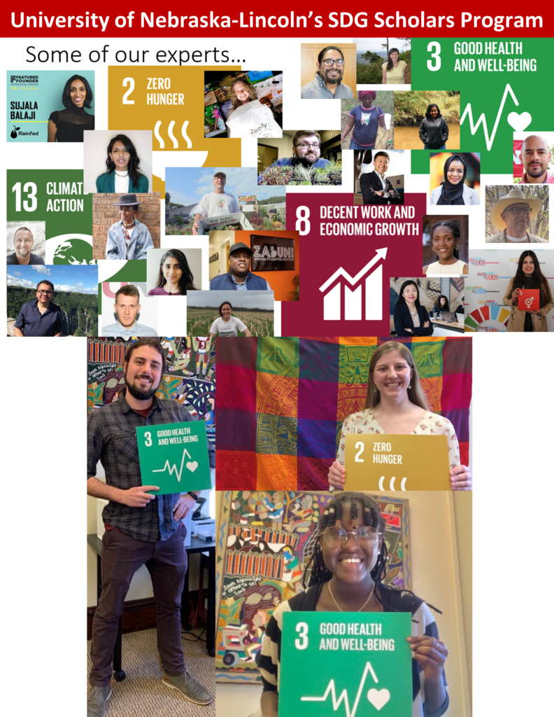 Advancing careers & the SDGs: how a co-curricular program prepares students to make a difference in their professional paths