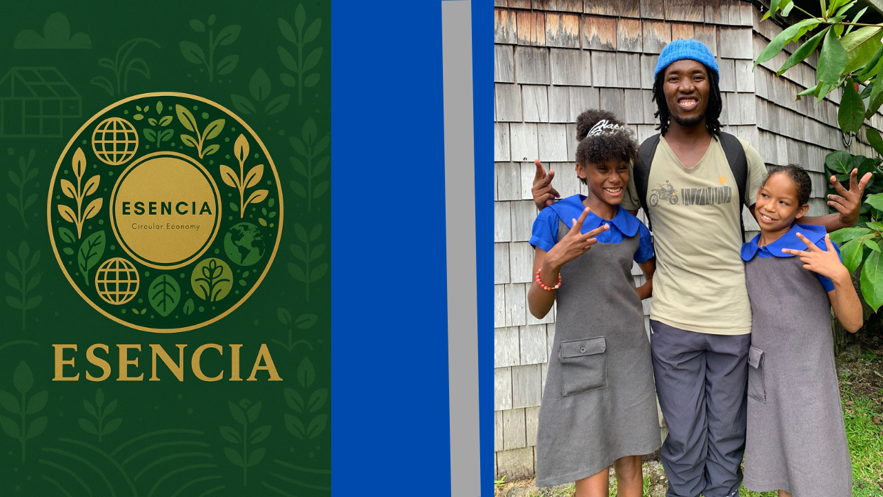 Circular Economy in Action: Practical Models for Sustainable Systems